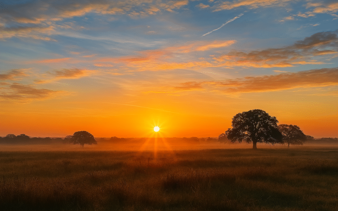Nothing Is Impossible: A gracious stranger and the grocery store encounter I’ll never forget.